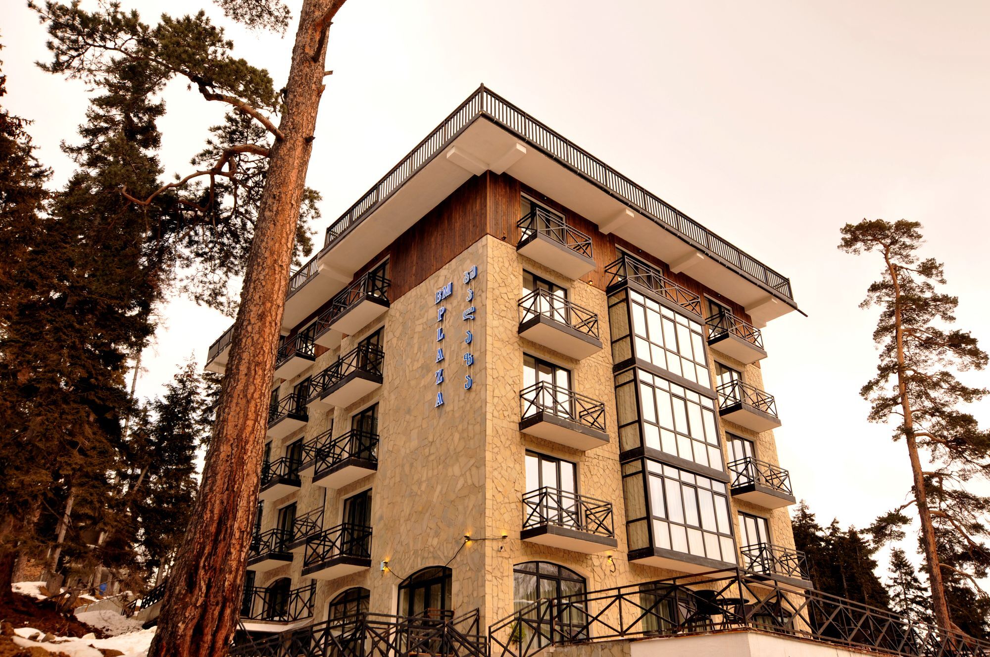 Bm Plaza Hotel Bakuriani Exterior photo